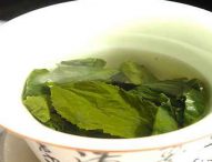 Tè verde: EFSA valuta gli eventuali problemi per la salute