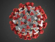 Funziona e sarà presto disponibile il Test rapido salivare per il Coronavirus (07/05/2020)