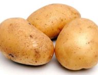 Le patate possono essere velenose: ecco quando e perché (27/04/2020)