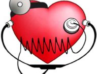 CNR: scoperto un meccanismo di auto-defibrillazione intrinseco del cuore (18/05/2022)