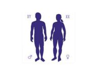 People with extra sex chromosome are at higher risk of disease (2022-07-11)