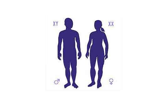 People with extra sex chromosome are at higher risk of disease (2022-07-11)